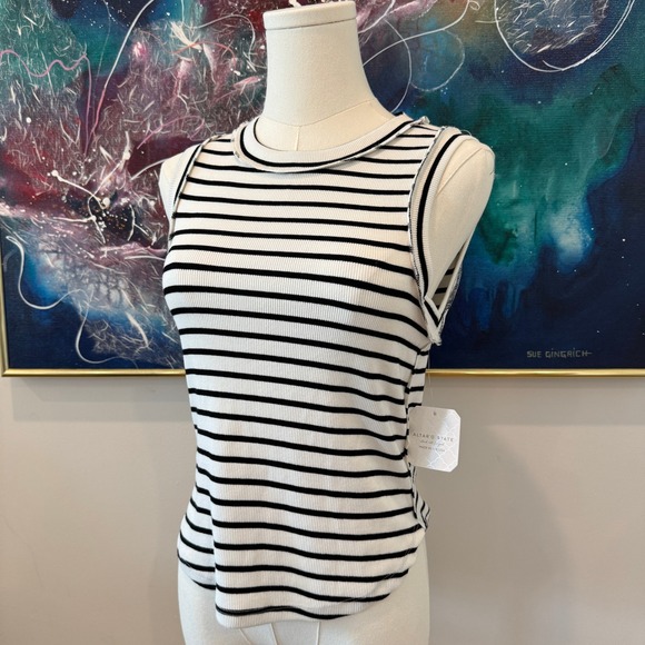 Altar'd State Tops - Altar'd State Striped Ribbed Cropped Tank Top Size XL Y2K 90s Grunge Retro NWT